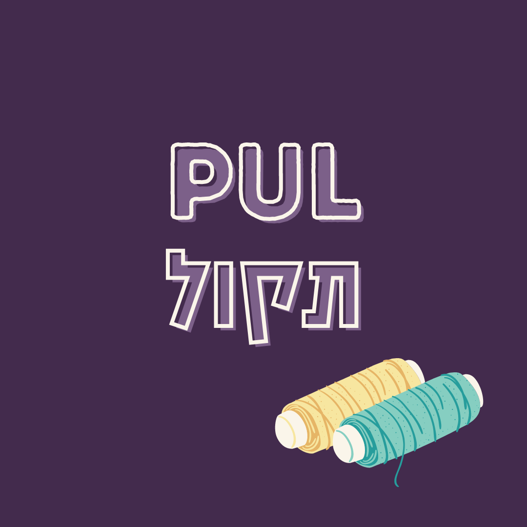 זיהוי PUL תקול